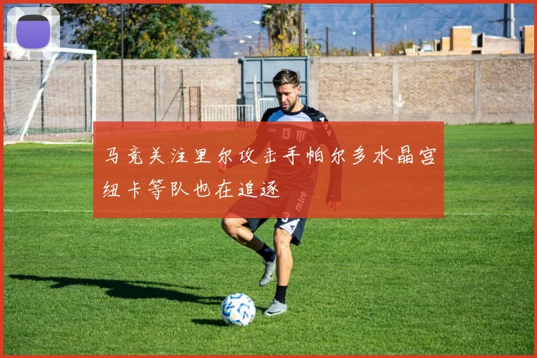 马竞关注里尔攻击手帕尔多水晶宫纽卡等队也在追逐
